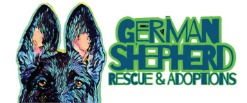 German Shepherd Rescue & Adoptions